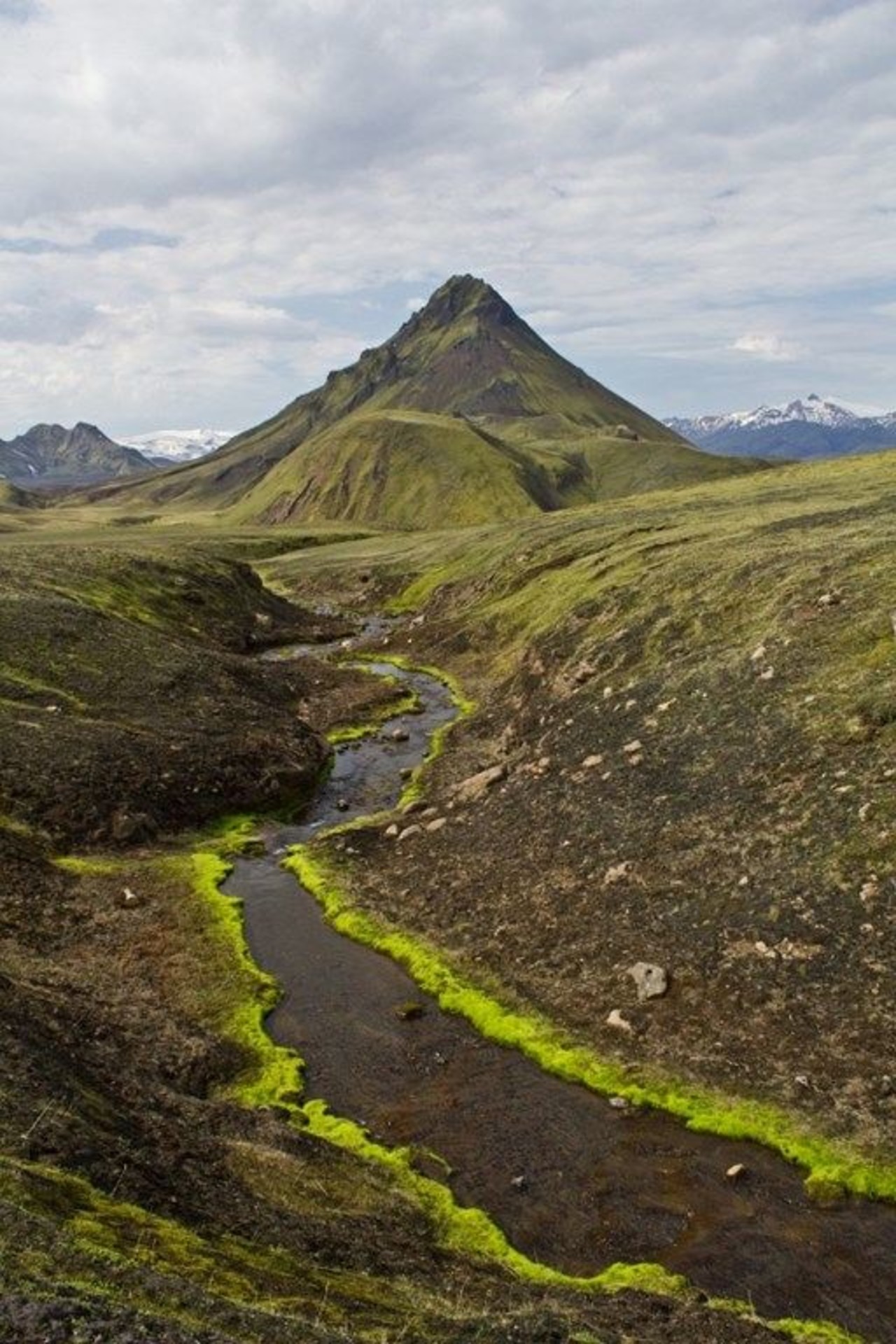 A small river and a mountain in a green landscape on the Laugavegur trek