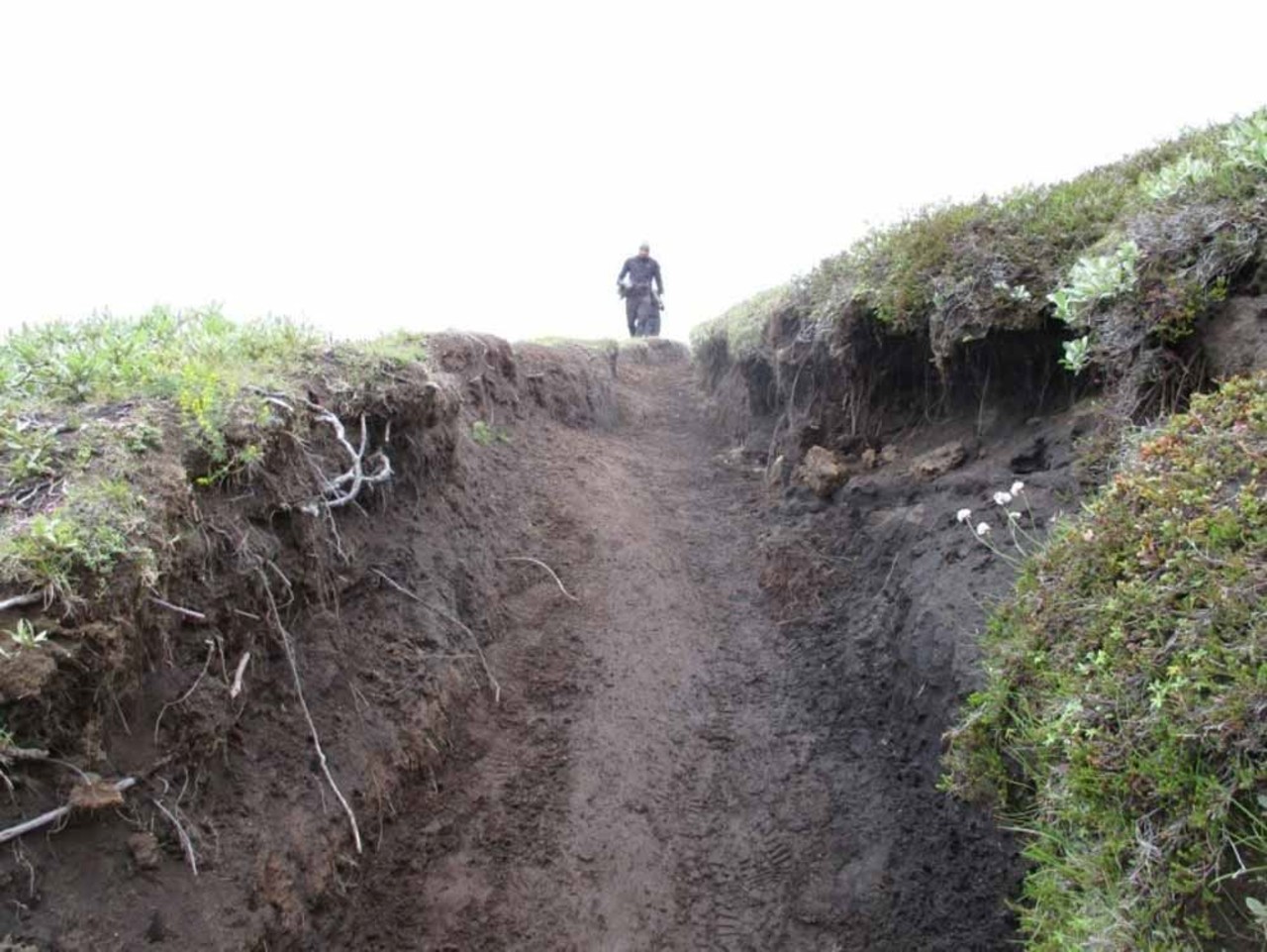 Emstur Trail befor work starts to restore the trail a man working in the background